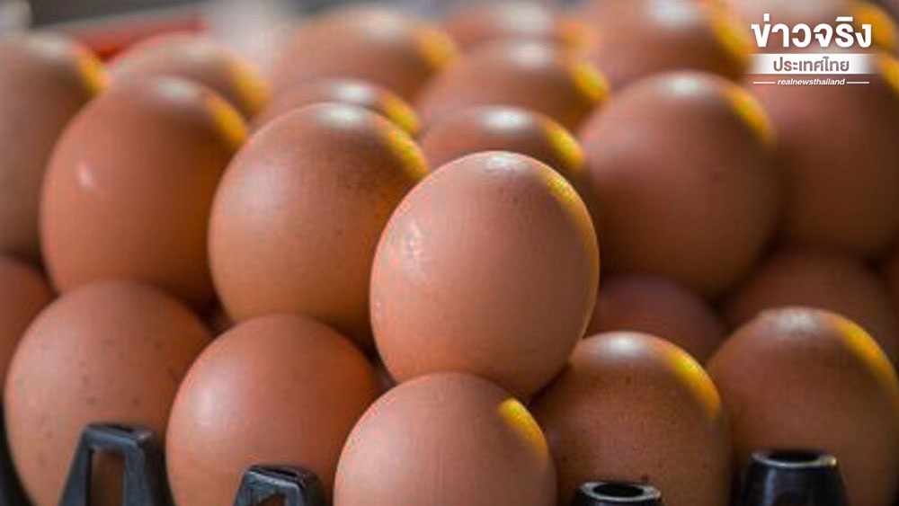 ไข่ไก่ขึ้นราคา ฟองละ 20 สตางค์เริ่ม 16 มี.ค. 69